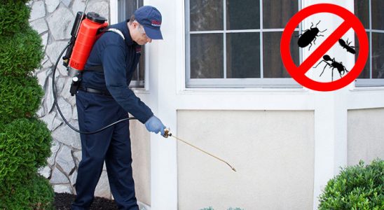 İnegöl Hamam Böceği İlaçlama böcek ilaçlama ve haşere kontrolü — ilaclama-tr.com
